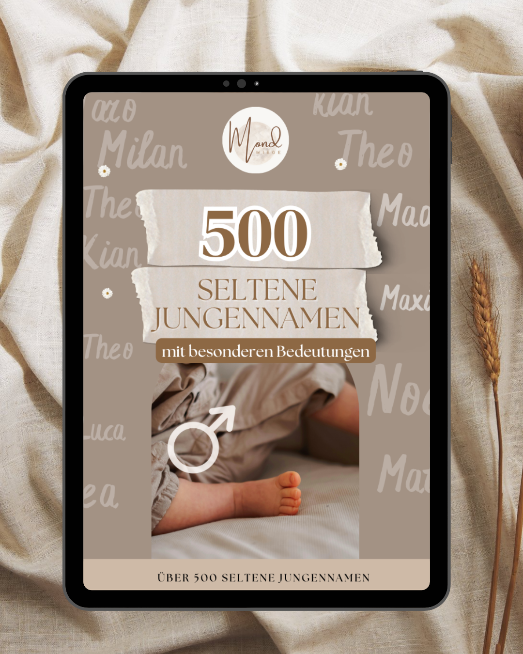 500 wundervolle, seltene Jungennamen